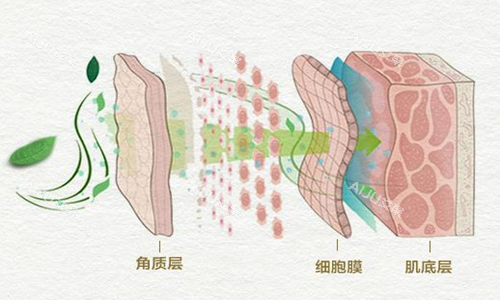 <span style= <span style=