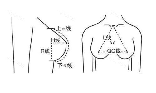 乳房再造美学图 乳房再造美学图