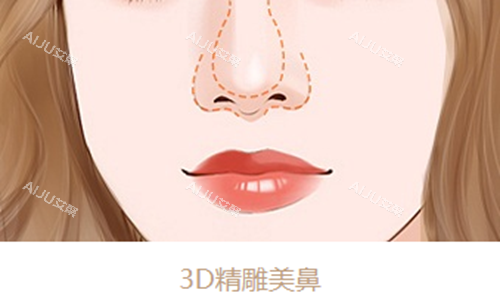 3D精雕美鼻示意图 3D精雕美鼻示意图