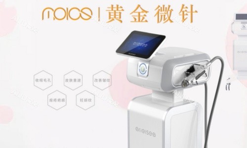 黄金微针示例图