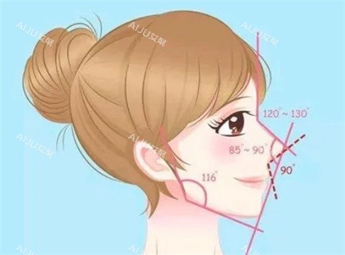 南京米兰柏羽隆鼻的比例 南京米兰柏羽隆鼻的比例