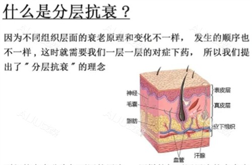 分层抗衰解析