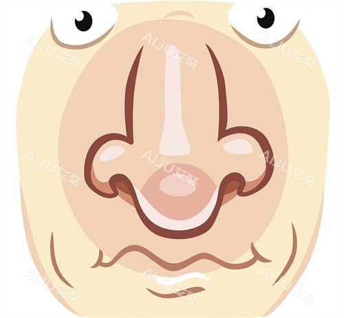 雷中元医生做的鼻子怎么样？技术特色+审美风格+网友真实反馈+价格区间全解析