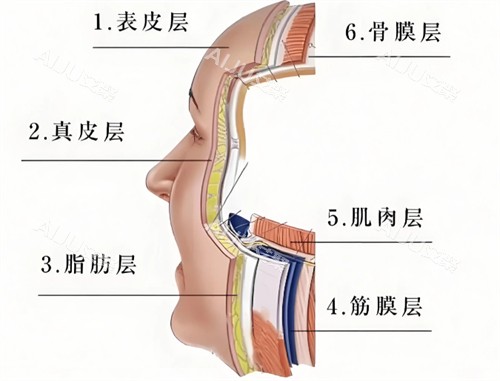 抗衰层次简介