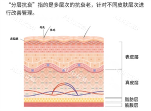 什么是分层抗衰